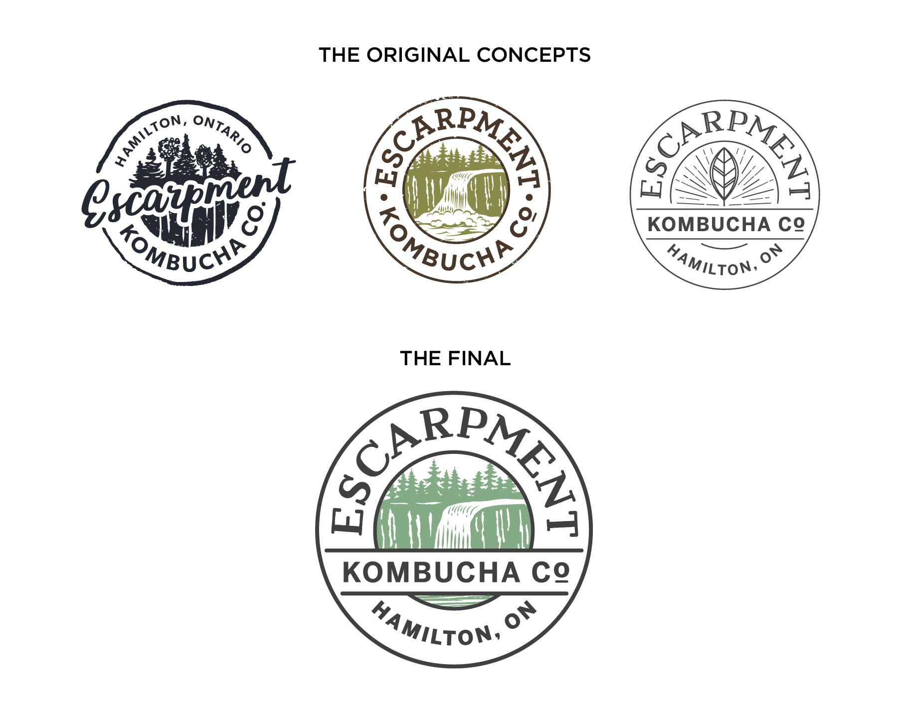Escarpment Kombucha - Branding