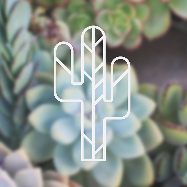 White Cactus - Branding
